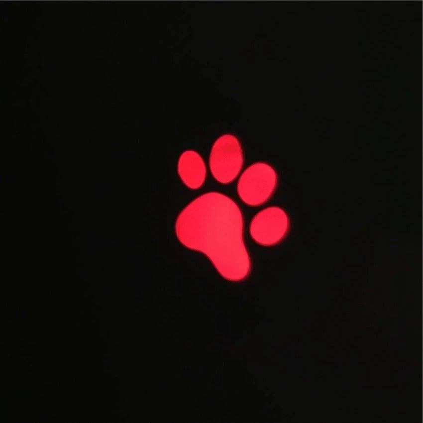 Funny Pet LED Laser Toy
