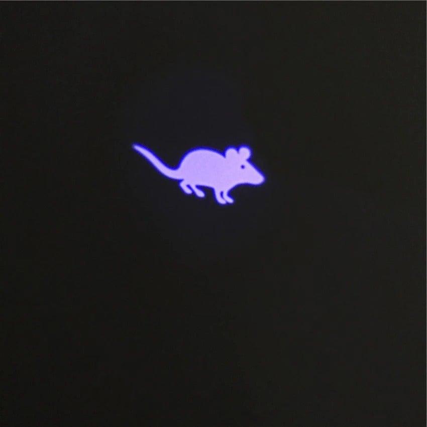 Funny Pet LED Laser Toy