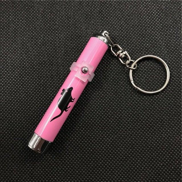 Funny Pet LED Laser Toy