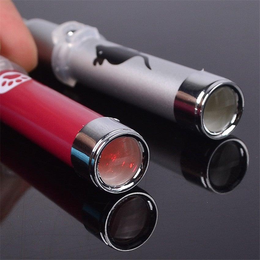 Funny Pet LED Laser Toy