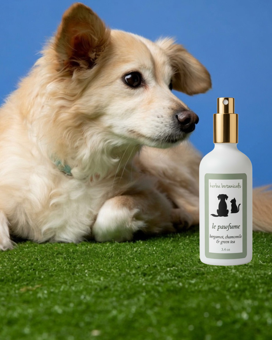 natural pet spray