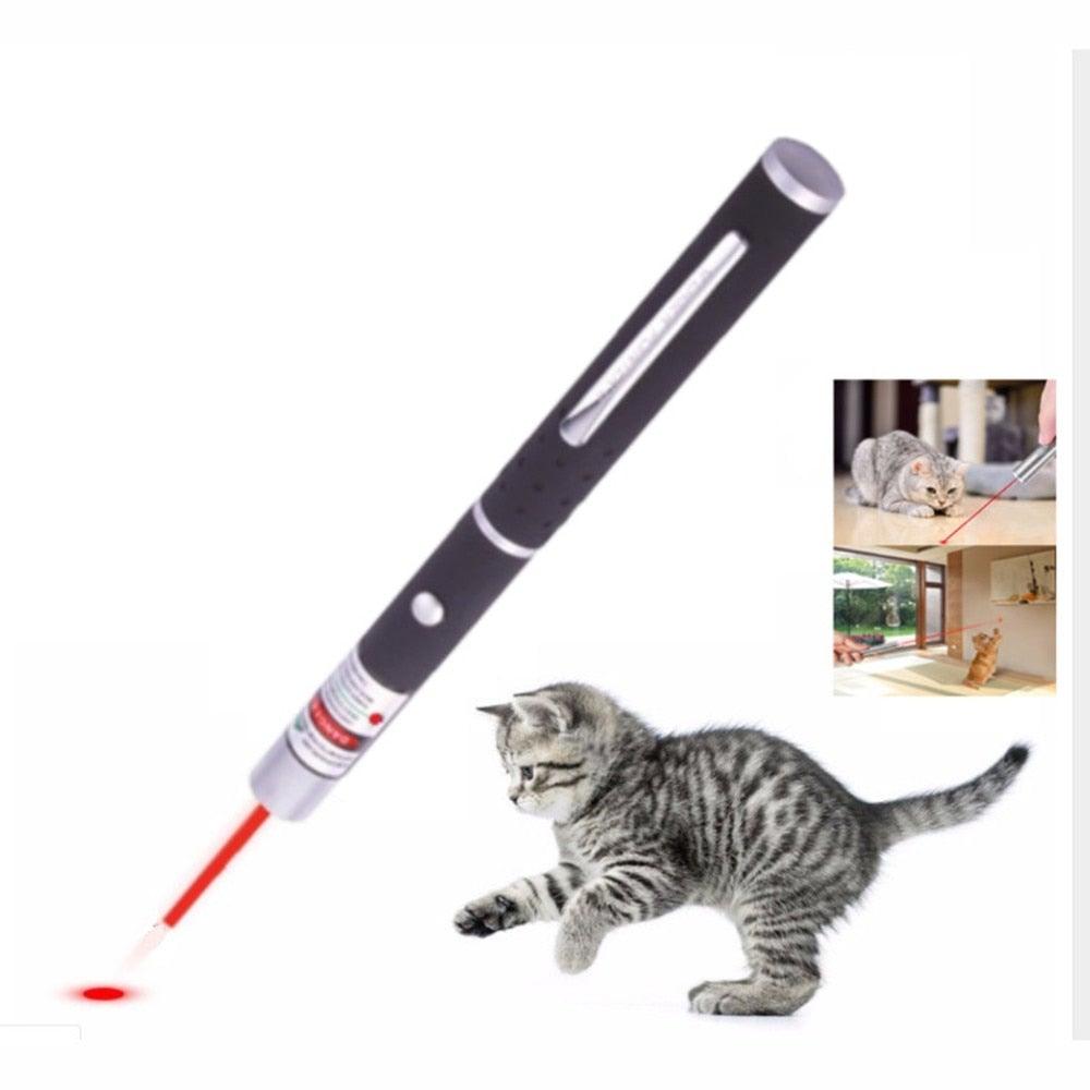 LED Laser Pet Cat Toy Red Dot Light